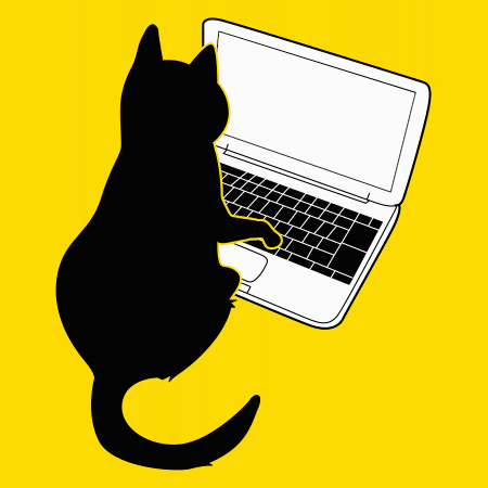 PCを触る猫